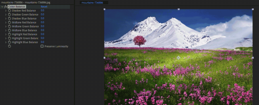 Color Balance